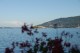 Thumbs/tn_Dsc_0098.jpg