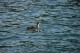 Thumbs/tn_Dsc_0124.jpg