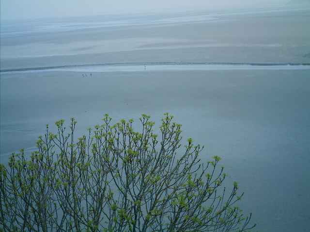 ../Images/Imag0702.jpg
