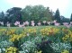Thumbs/tn_Imag0667.jpg