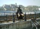 Thumbs/tn_Imag0616.jpg