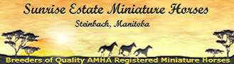 Sunrise Estate Miniature Horses - Breeders of Quality AMHA Registered Miniature Horses
