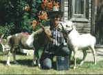 Sunrise Estate Miniature Horses - It's always nice when we bring home trophies and plaques!