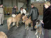 meeting new family and friends