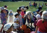 Sunrise Estate Miniature Horses - THE DAY CARE CHILDREN LOVE THE MINIS