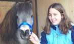 Sunrise Estate Miniature Horses - LITTLE DYNAMO