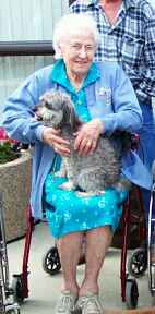 Elmo, PTD  (pet therapy dog)