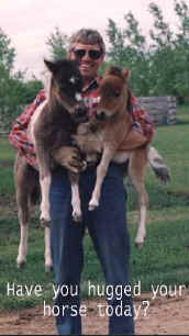 Sunrise Estate Miniature Horses - Have you hugged your horse today?