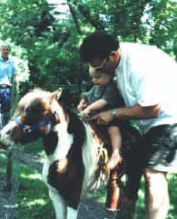Sunrise Estate Miniature Horses - The twins first horse rides.