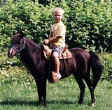Sunrise Estate Miniature Horses - KYLER ENJOYING A RIDE