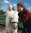 Sunrise Estate Miniature Horses - WE START THEM YOUNG!