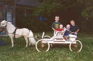 Sunrise Estate Miniature Horses - The 4 grandchildren with Lightening