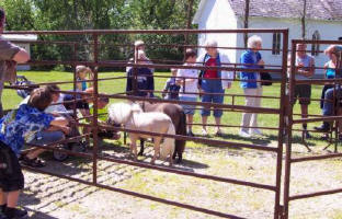 Spring on the Farm - Steinbach Museum