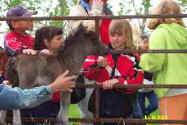 Sunrise Estate Miniature Horses - Spring on the Farm