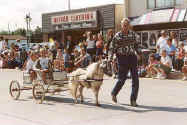 Sunrise Estate Miniature Horses - The boys and Grandpa...just rec'd trophy