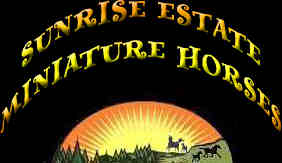 Welcome to the exciting world of Sunrise Estate Miniature Horses