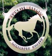 Sunrise Estate Miniature Horses Farm Sign