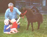 Sunrise Estate Miniature Horses - The twins with Grandpa and Peanut