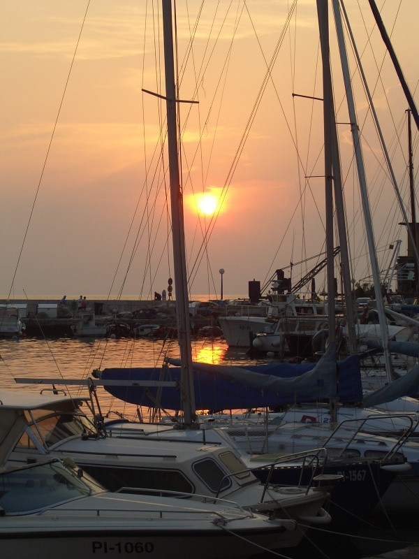 20050725-202054-Piran-CIMG4784.jpg