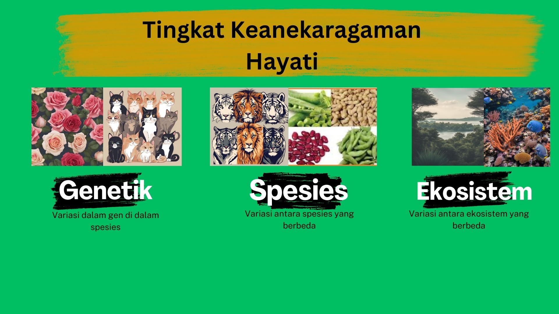 Jenis KH