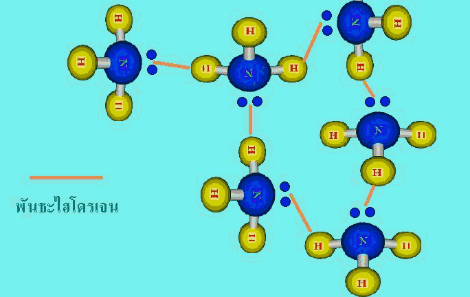 H-bond