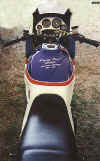 Merkelbike-1.jpg (31141 bytes)