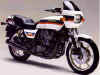 z1000r2-wit.jpg (10242 bytes)