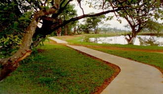 Caminho da Lagoa