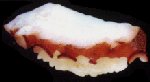 tako.jpg (3819 bytes)