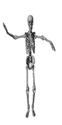 spookyskeleton