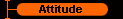  Attitude 