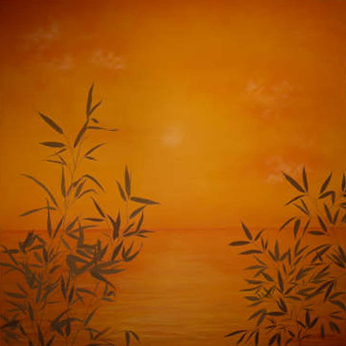 100 cm x 100 cm