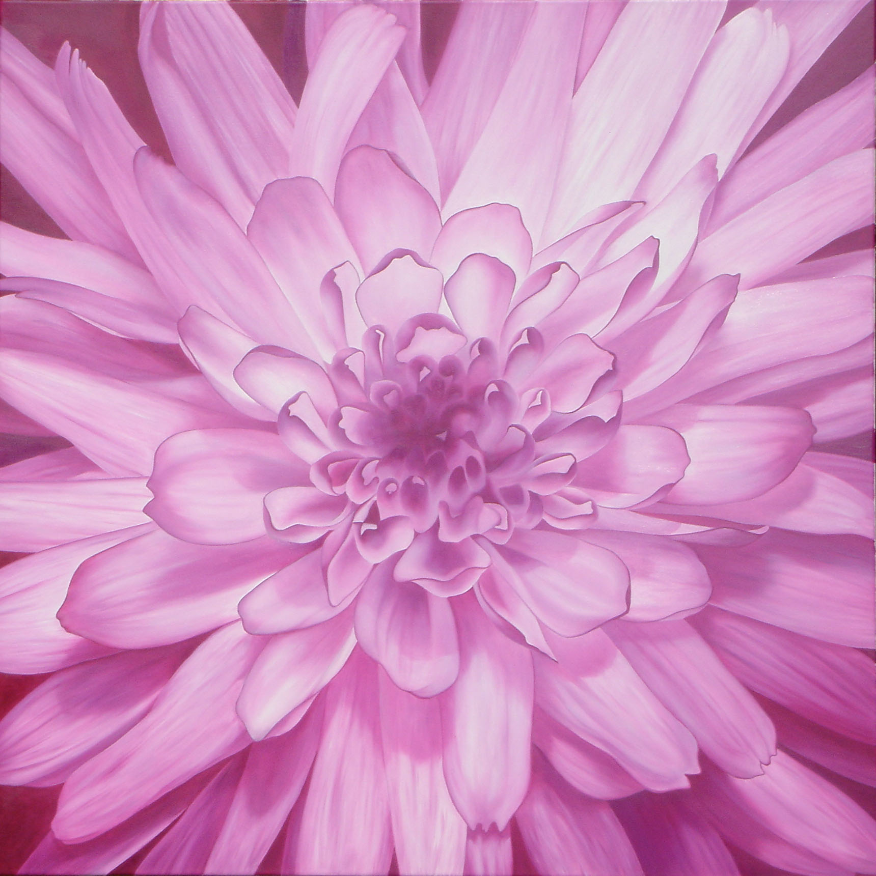 100 cm x 100 cm