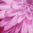 Flower N� 2