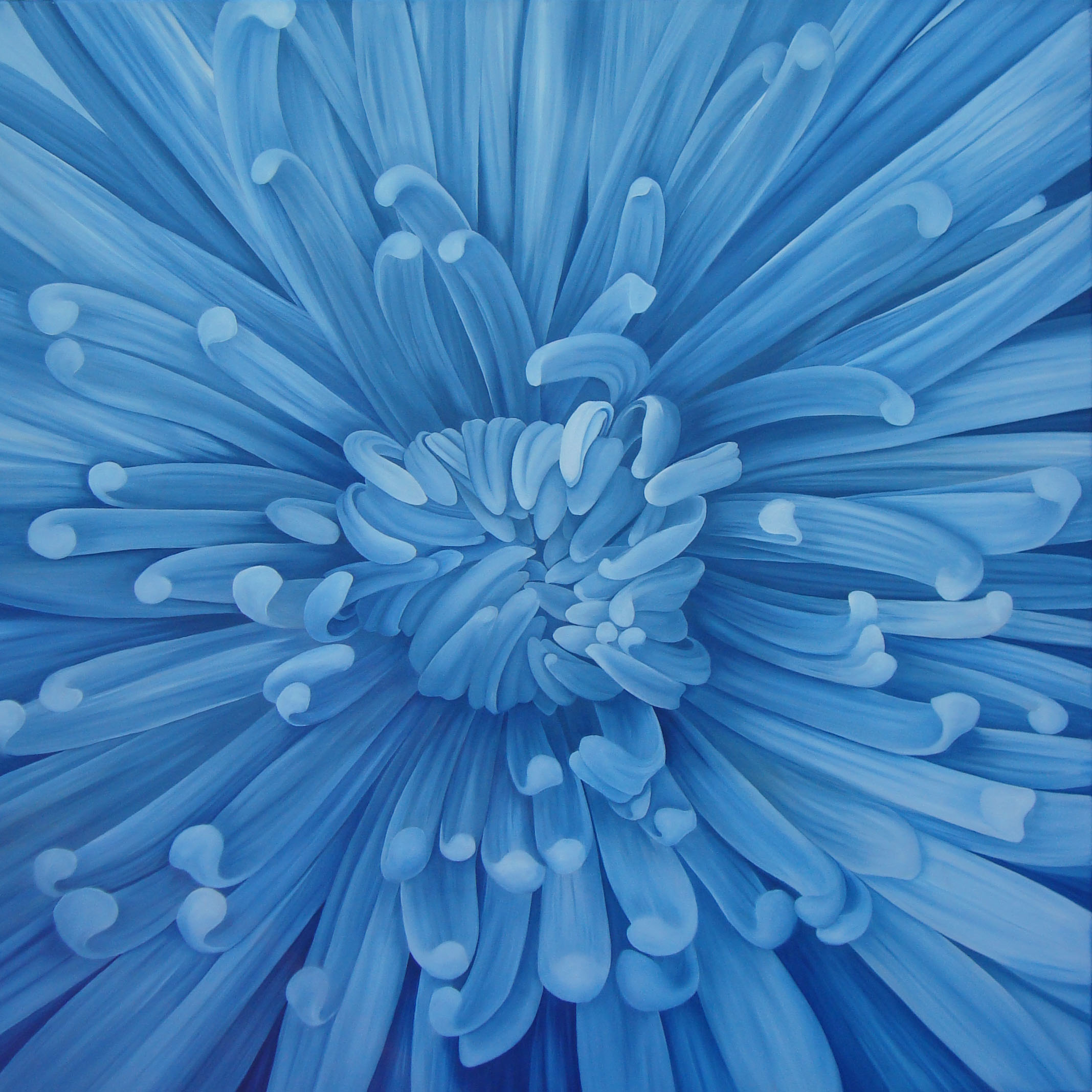 100 cm x 100 cm