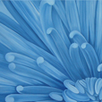Flower N� 3