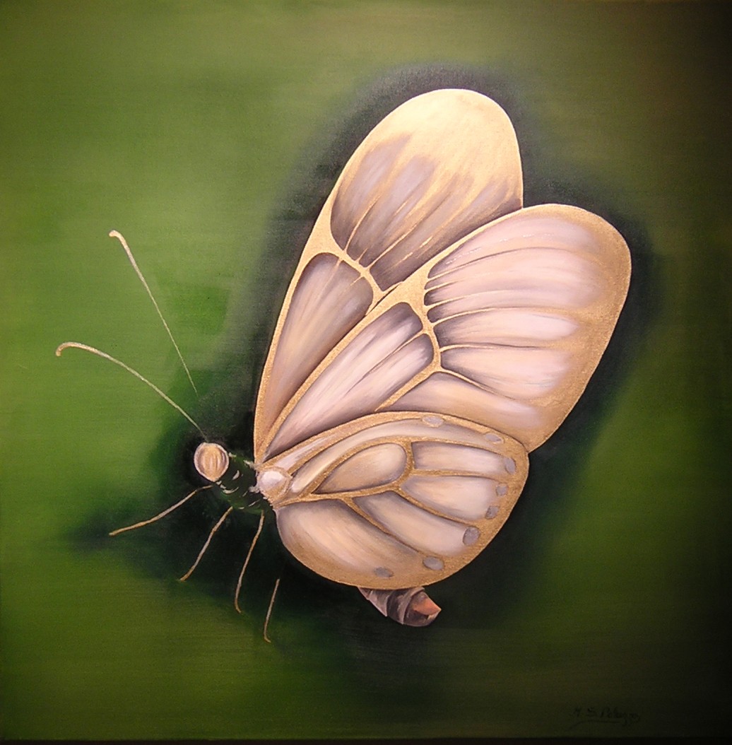 100 cm x 100 cm