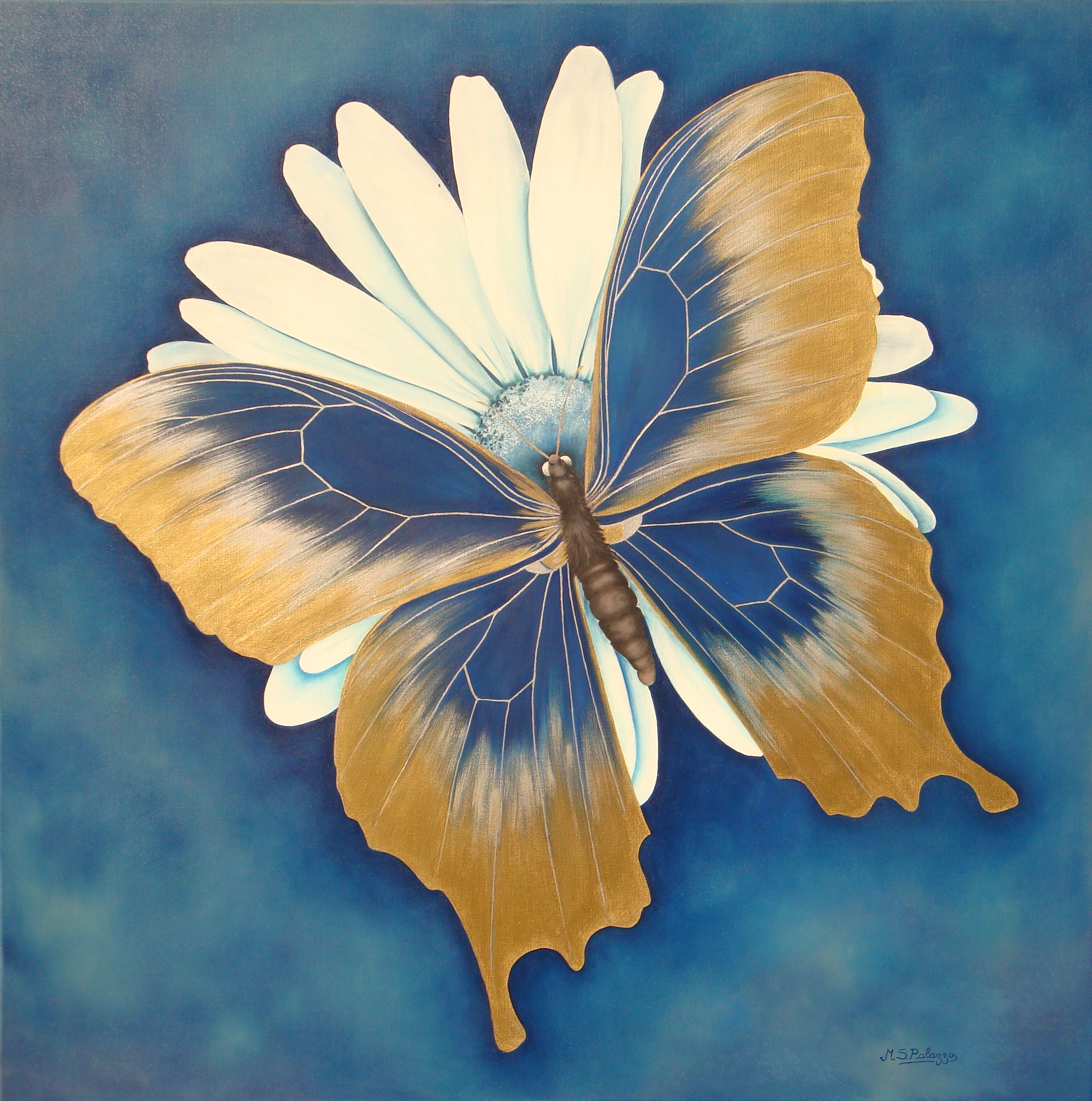 100 cm x 100 cm