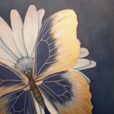 Butterfly And Flower