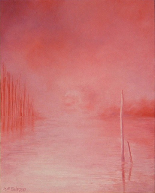 40 x 50