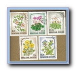 [Click to enlarge image]