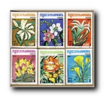 [Click to enlarge image]