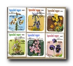 [Click to enlarge image]