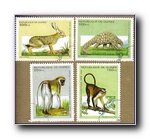 [Click to enlarge image]