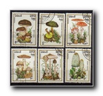 [Click to enlarge image]