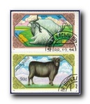 [Click to enlarge image]