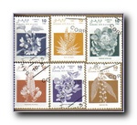 [Click to enlarge image]