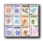 [Click to enlarge image]