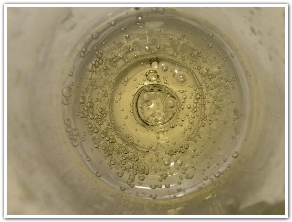 champagne.jpg