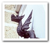 dragon.jpg